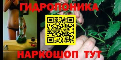прущие грибы Изобильный