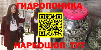 прущие грибы Изобильный