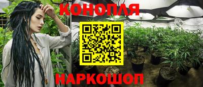 прущие грибы Изобильный